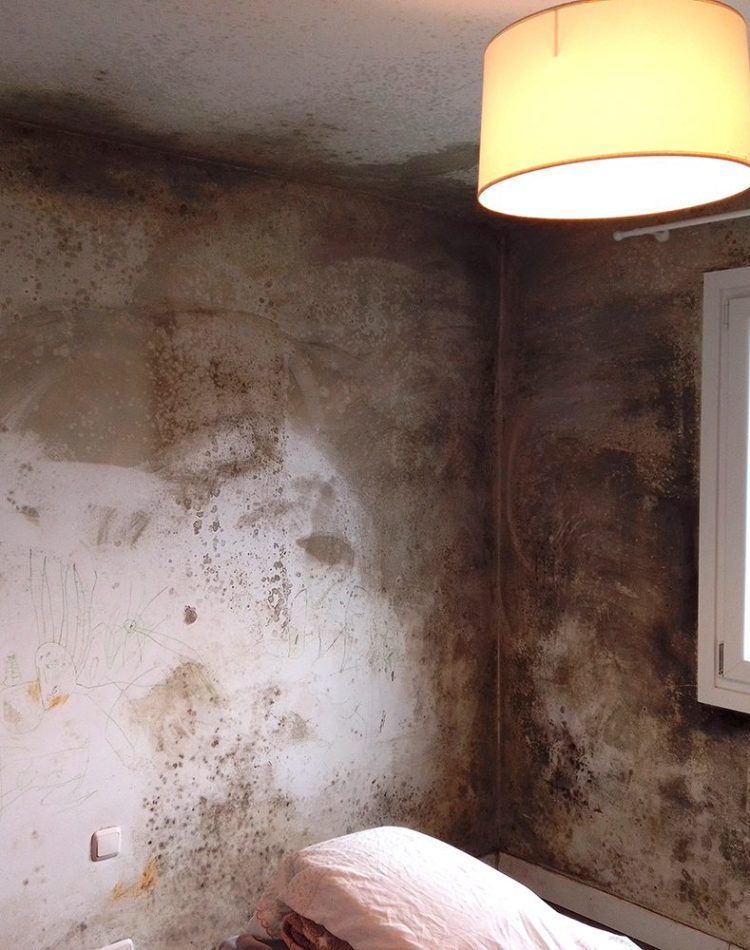 Aterki Isola. Solucionar humedades por condensación