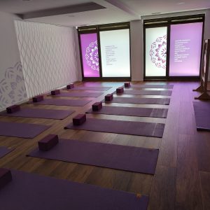 YOGA ETA SOINU SENDATZAILEA