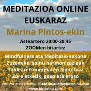 MEDITAZIOAK ONLINE