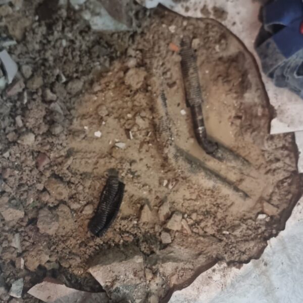 Reparación y detección de fugas de agua 13 Detección y reparación de fugas de agua