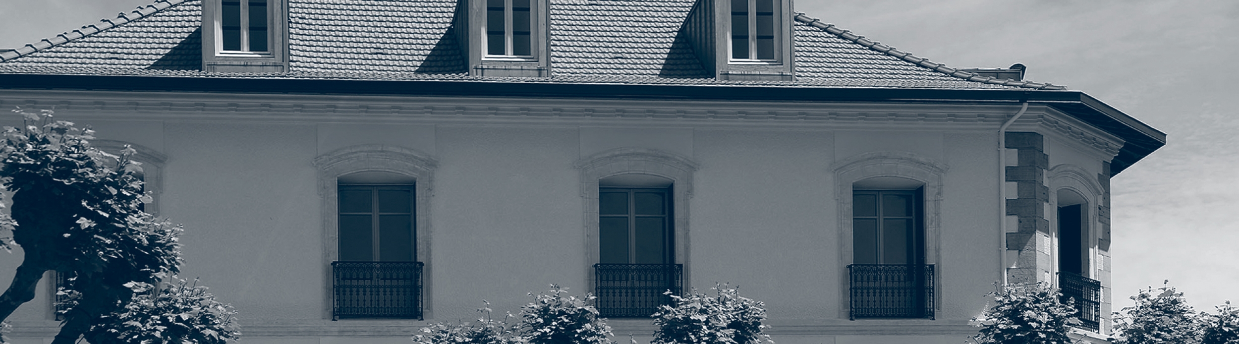 0EED4046-6F21-9D5D-0D80-D2DF4AFD1D25_XL