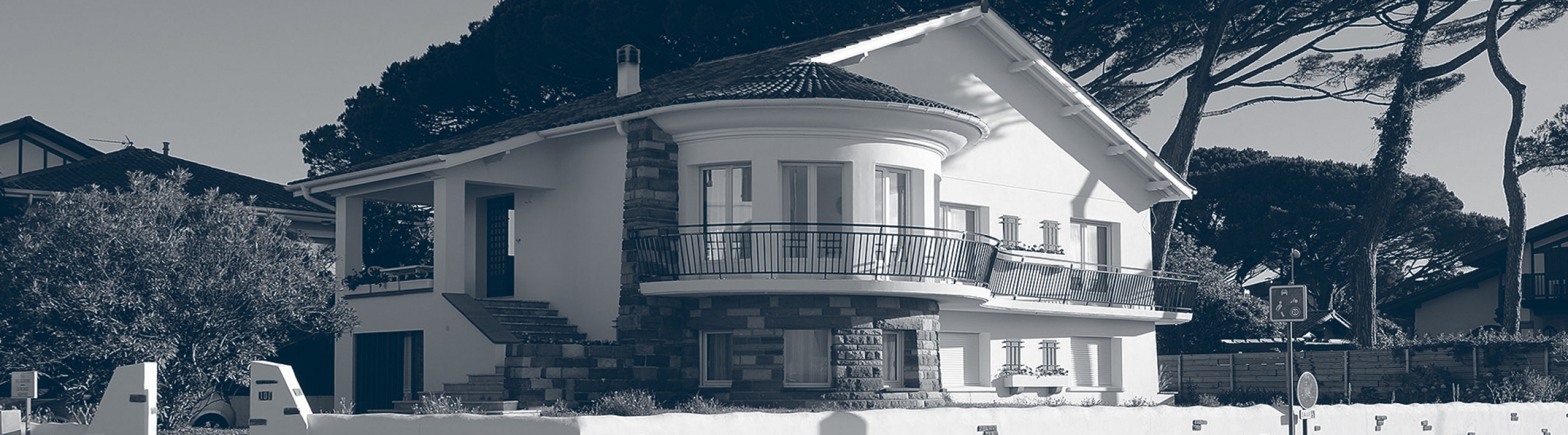 3CE70929-ECA0-9855-CBC8-D75DD3BE1178_XL