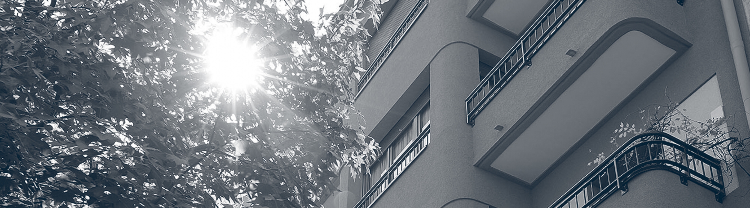 B4132C09-7909-0FD9-1B55-F0349FD4EAB7_XL