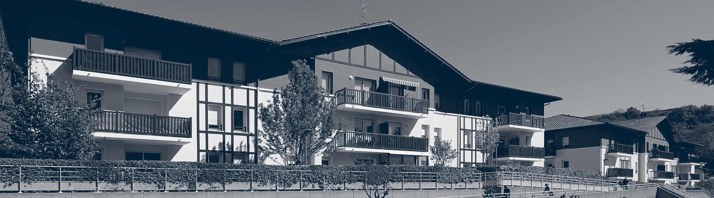 BEE34AAF-CDE9-EBA7-3B3D-1EFECE42EFEF_XL