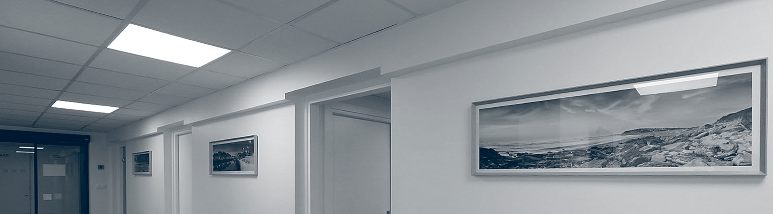 CF0DFFC4-C715-EC0D-978E-0690F25ABB34_XL