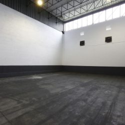 B2545845-00A9-C8EA-9EDF-5F16EF6748F4_L