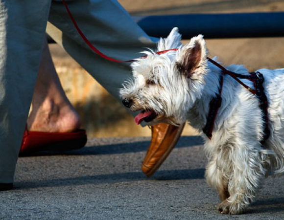 PROFITER DE BILBAO SANS NOUS (EN) SÉPARER DE NOTRE MASCOTTE