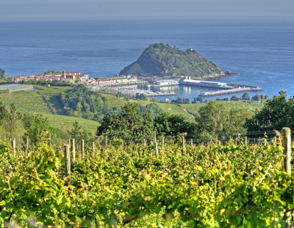 TXAKOLI AND SUMMER