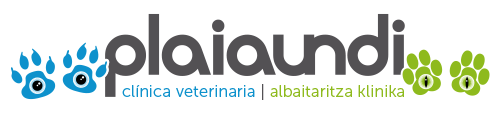 Clínica Plaiaundi