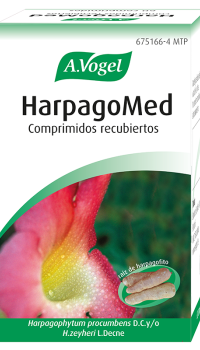 Harpagomed Harpagomed