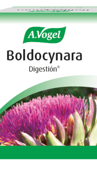 Boldocynara  Boldocynara