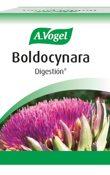 Boldocynara  Boldocynara