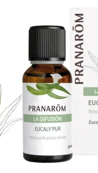 La difusión Eucaly’Pur La difusión Eucaly’Pur