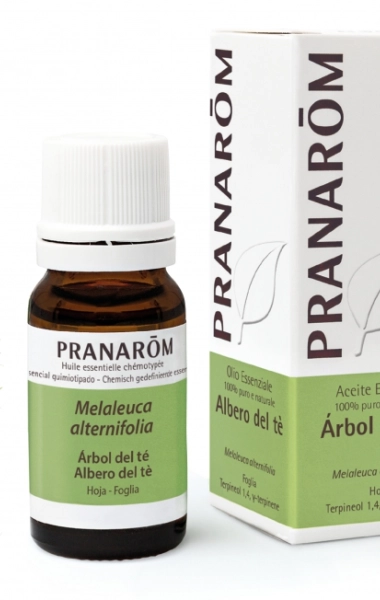 Aceite Esencial Arbol de Té Aceite Esencial Arbol de Té