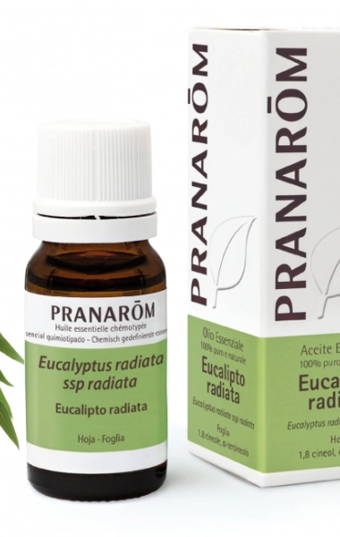 Aceite Esencial Eucalipto Radiata Aceite Esencial Eucalipto Radiata