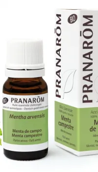 Aceite Esencial Menta de Campo Aceite Esencial Menta de Campo