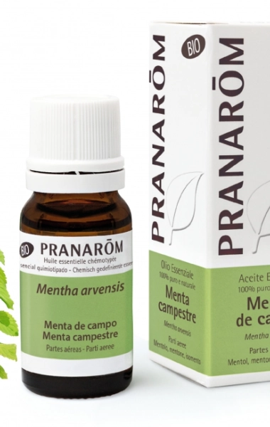 Aceite Esencial Menta de Campo Aceite Esencial Menta de Campo