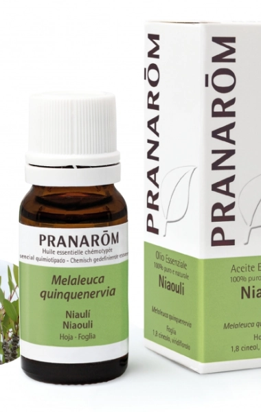 Aceite esencial Niauli Aceite esencial Niauli