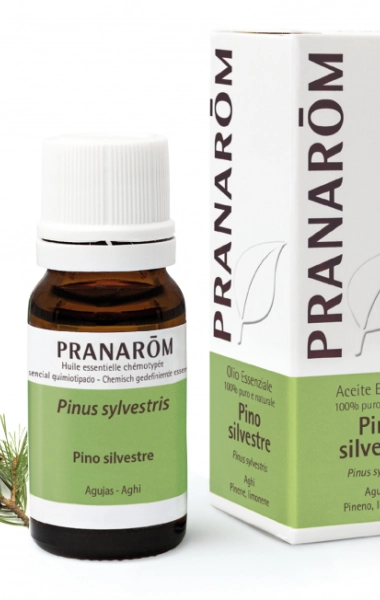 Aceite Esencial Pino Silvestre Aceite Esencial Pino Silvestre