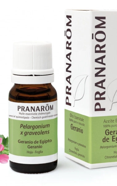 Aceite Esencial Geranio de Egipto Aceite Esencial Geranio de Egipto