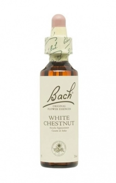 White Chestnut (Castaño de Indias)  White Chestnut (Castaño de Indias)