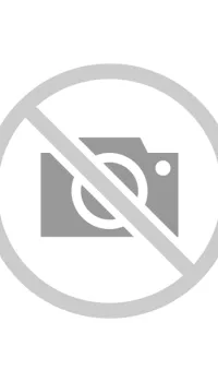 Proctolog  Proctolog