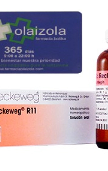 r11 reckeweg r11 reckeweg