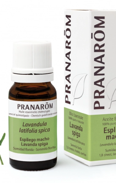 Aceite Esencial Espliego Macho Aceite Esencial Espliego Macho