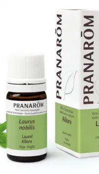 Aceite Esencial Laurel Aceite Esencial Laurel