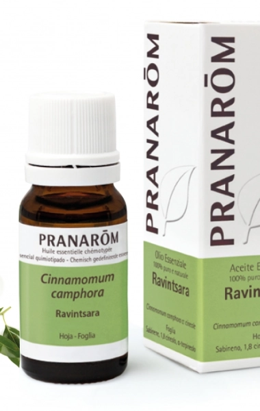Aceite Esencial Ravintsara Aceite Esencial Ravintsara