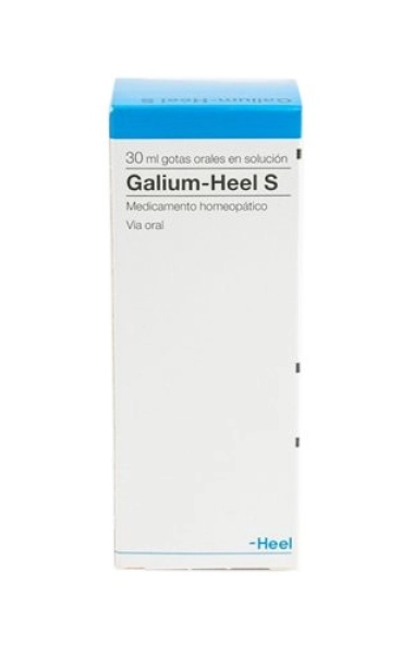 Galium S Galium S