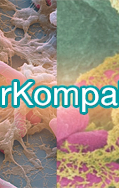 Estudio avanzado de salud intestinal: kyberbioma, zonulina, LPS, AGCC, calprotectina, residuos digestivos, elastasa pancreática, ácidos biliares, IGAs Estudio avanzado de salud intestinal: kyberbioma, zonulina, LPS, AGCC, calprotectina, residuos digestivos, elastasa pancreática, ácidos biliares, IGAs