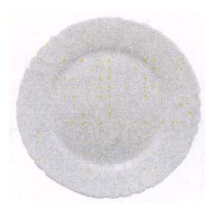 ASSIETTE HARMONIA NON DÉCORÉE