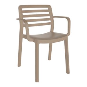 SILLON CON BRAZOS POLIPROPILENO 