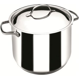 OLLA RECTA BASIC