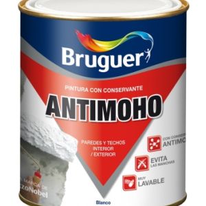 PINTURA PLASTICA ANTIMOHO MATE