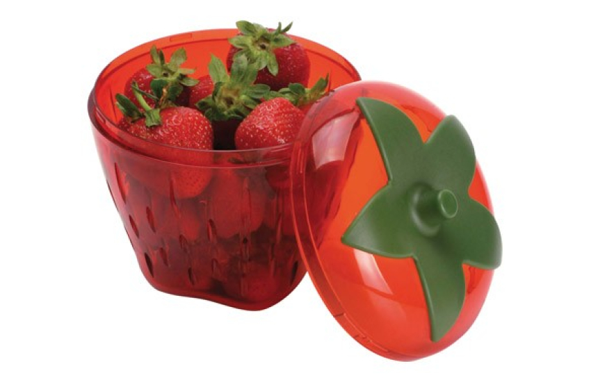 CONTENEDOR ALIMENTOS 