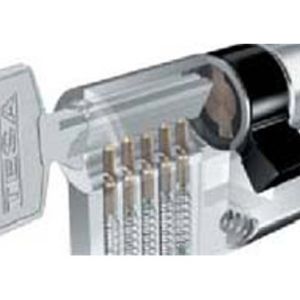 CYLINDRE TE5 LAITON SERRATA KEY