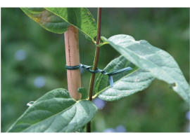 BANDE PLASTIQUE VERTE AVEC ÂME EN FIL DE FER