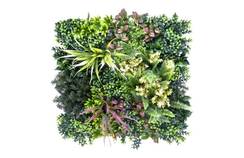 JARDIN VERTICAL BELIZE B JARDIN VERTICAL BELIZE B