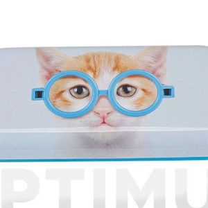 COUVERCLE EN VERRE