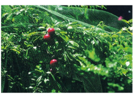 FILET ANTI-OISEAUX 2X10MT NATUUR PL VER NT