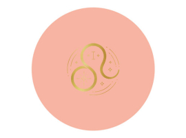 PINTURA PLASTICA UNA CAPA ZODIACOLORS MATE