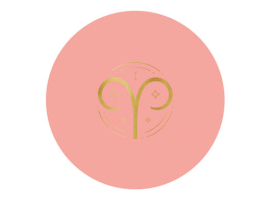 PINTURA PLASTICA UNA CAPA ZODIACOLORS MATE