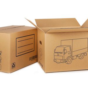 BOÎTE DE DÉMÉNAGEMENT EN CARTON AVEC POIGNÉE DÉCOUPÉE