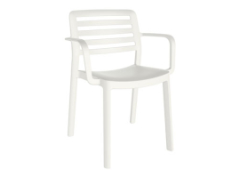 SILLON CON BRAZOS POLIPROPILENO