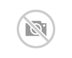 ¿Tienes dudas sobre qué tipo de ventilador comprar este verano?