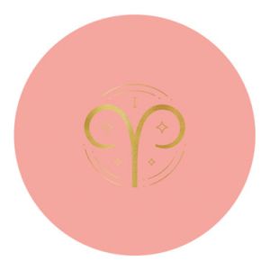 PEINTURE PLASTIQUE MATE ZODIACOLORS EN UNE COUCHE