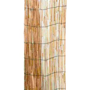 CANNE DE BAMBOU PELÉE