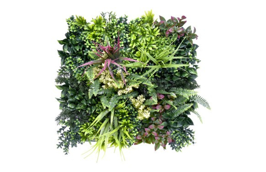 JARDIN VERTICAL BELIZE C